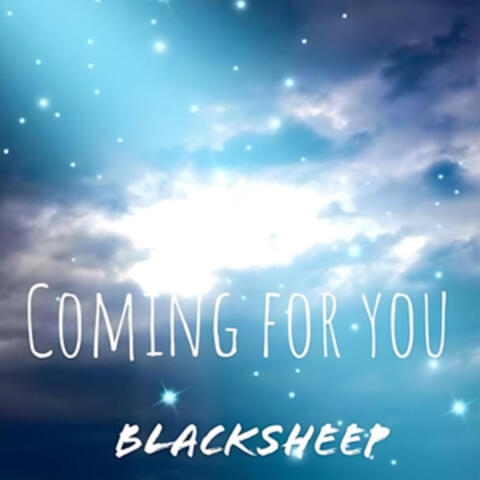 The Blacksheep