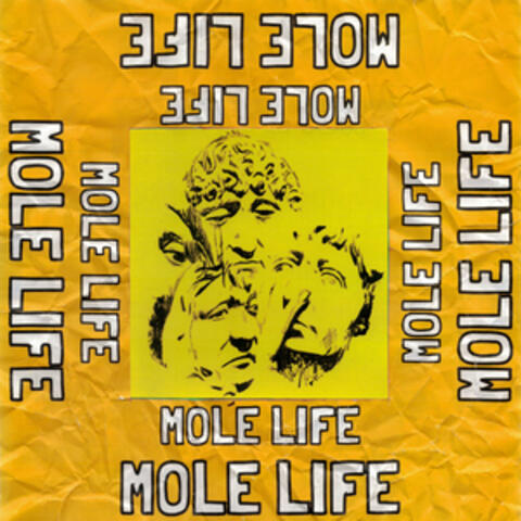 Mole Life