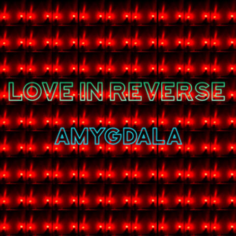 Amygdala
