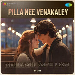 Pilla Nee Venakaley
