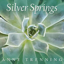Silver Springs