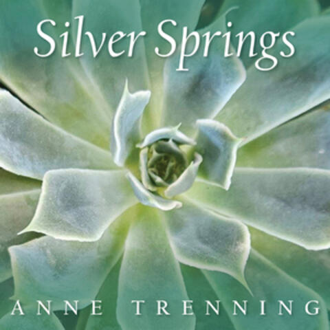 Silver Springs