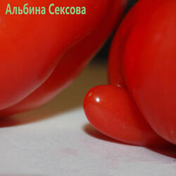 Саша пидораст