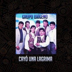 Cayó Una Lagrima