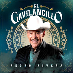 El Gavilancillo