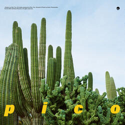 pico