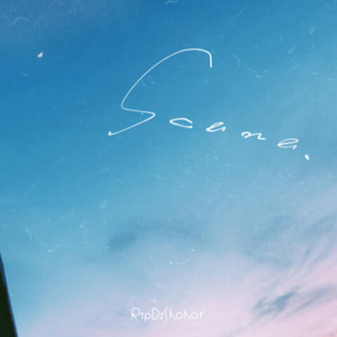 scene.