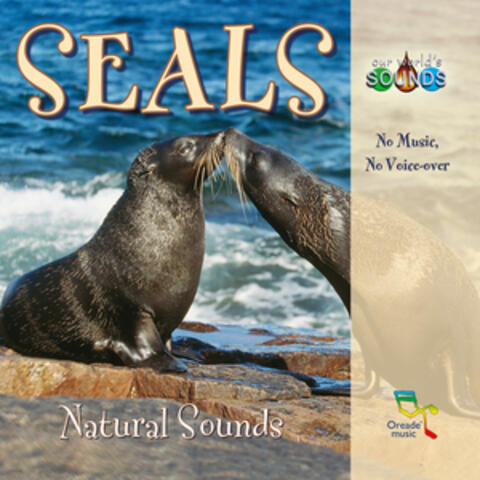 Seals