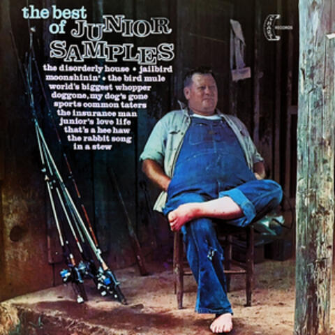 The Best Of Junior Samples