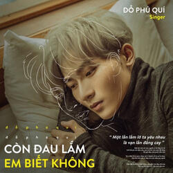 Còn Đau Lắm Em Biết Không