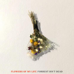 Flowers Of My Life