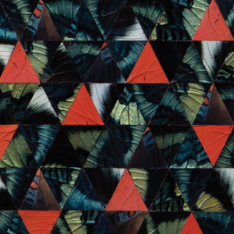 Diatom Ribbons (Live At The Village Vanguard)