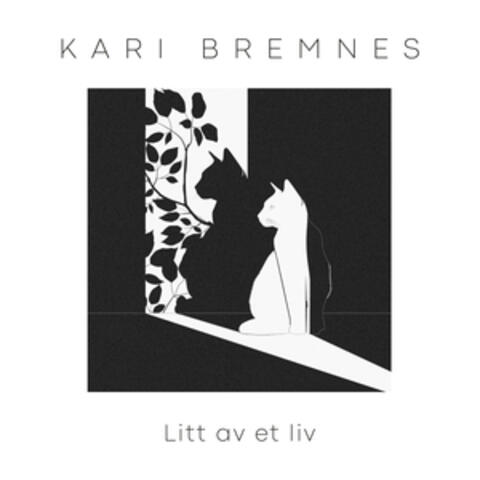 Litt av et liv