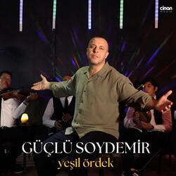 Yeşil Ördek