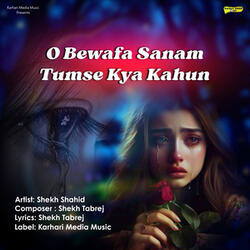 O Bewafa Sanam Tumse Kya Kahun