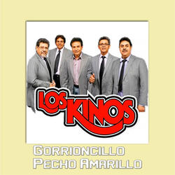 Gorrioncillo Pecho Amarillo