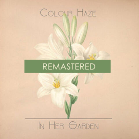 Colour Haze