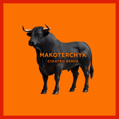 Makoterchyk
