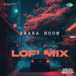Awara Hoon