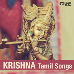 Hey Govinda Hey Gopala