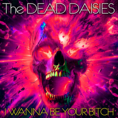 I Wanna Be Your Bitch