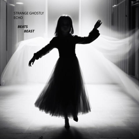 Strange Ghostly Echo