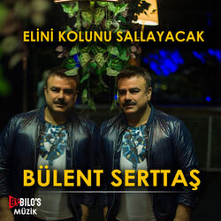 Elini Kolunu Sallayacak