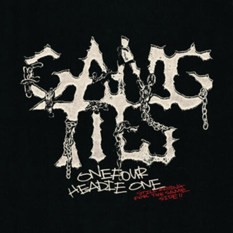 Gang Ties