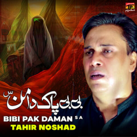 Bibi Pak Daman S A - Single