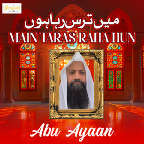 Main Taras Raha Hun - Single