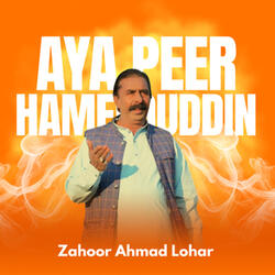 Aya Peer Hameeduddin