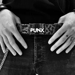 PUNX