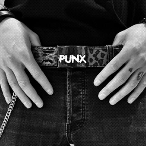 PUNX