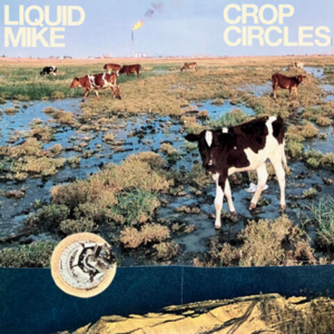 Crop Circles