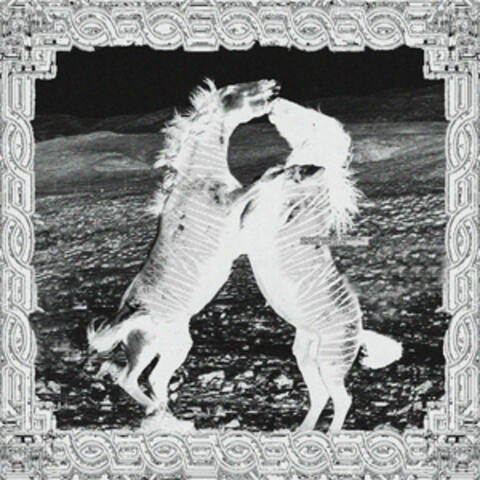 EQUUS FERUS
