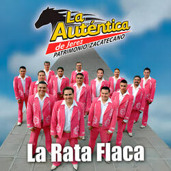 Como Extraño A Zacatecas