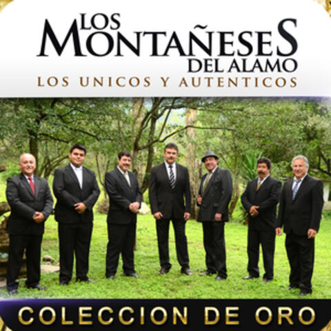 Los Montañeses del Alamo