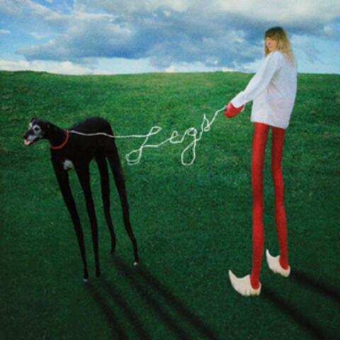 Legs
