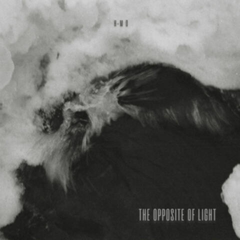 The Opposite of Light
