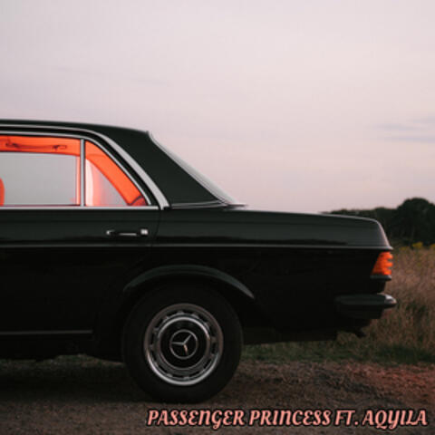 Passenger Princess