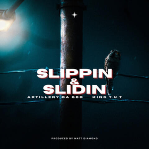 Slippin & Slidin