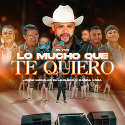 Lo Mucho Que Te Quiero