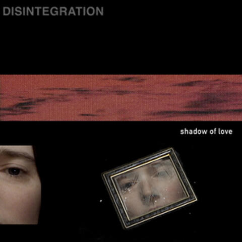Shadow of Love