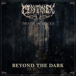 Beyond the Dark