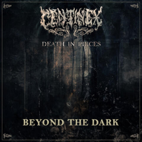 Beyond The Dark
