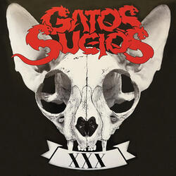 Castigador