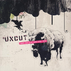 Understanding The New Violence