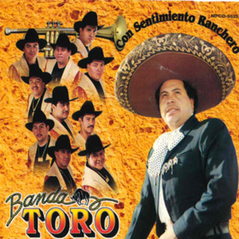 Banda Toro