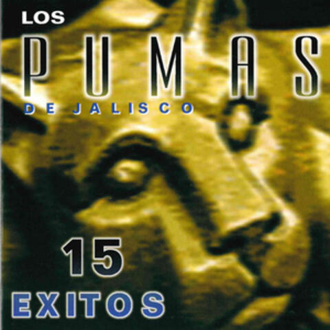 15 Exitos