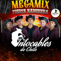 MEGAMIX FIESTA RANCHERA: Y TU/Demasiado tarde /No sufriré por nadie /A rienda suelta /El ayudante /Decídete